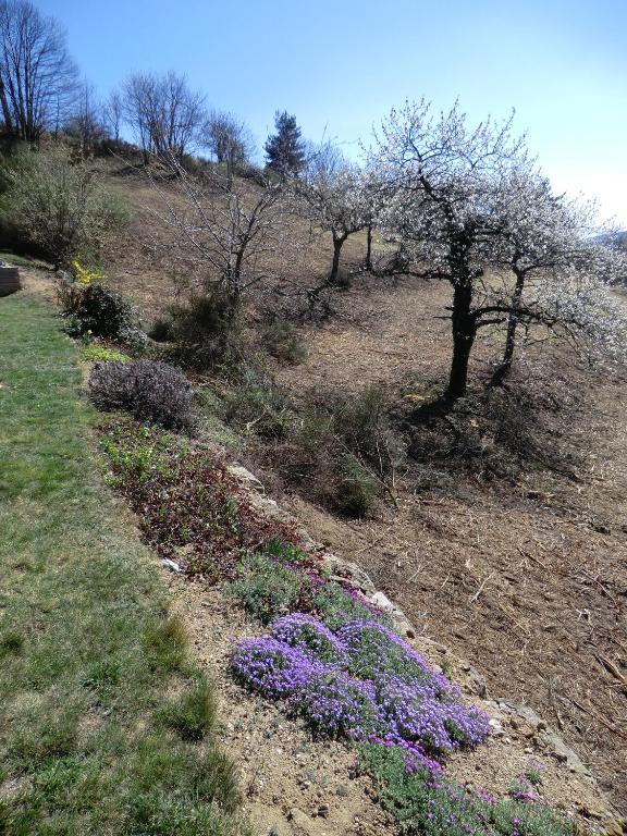 Saint-Félicien La Bastide De Fontaille Bed & Breakfast エクステリア 写真