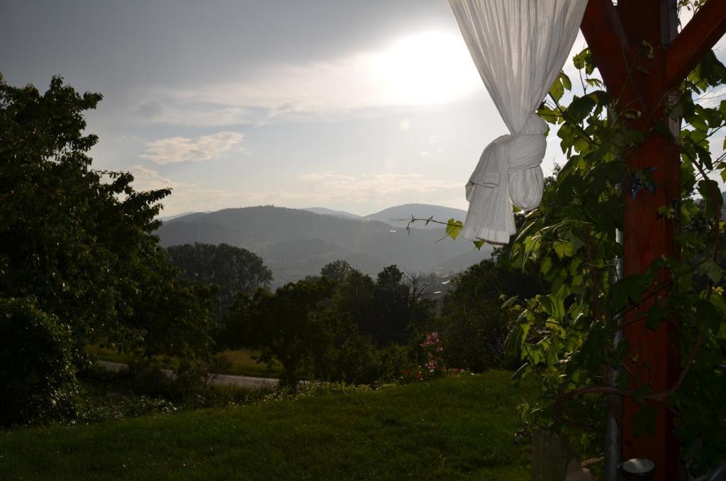 Saint-Félicien La Bastide De Fontaille Bed & Breakfast エクステリア 写真