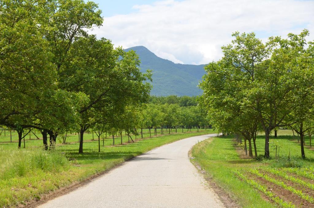 Saint-Félicien La Bastide De Fontaille Bed & Breakfast エクステリア 写真