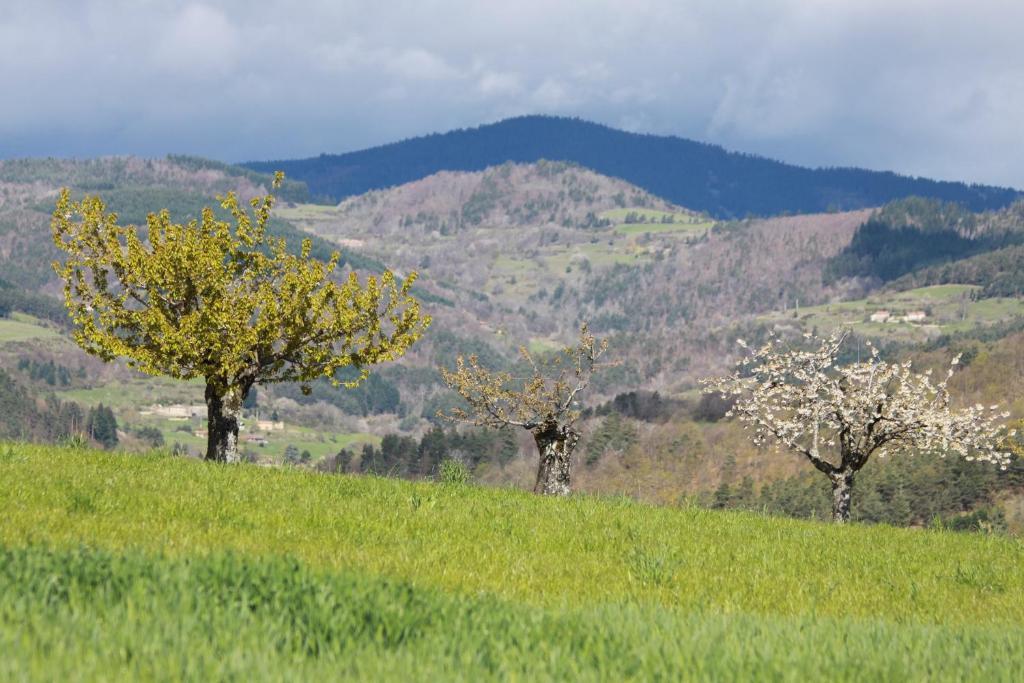 Saint-Félicien La Bastide De Fontaille Bed & Breakfast エクステリア 写真