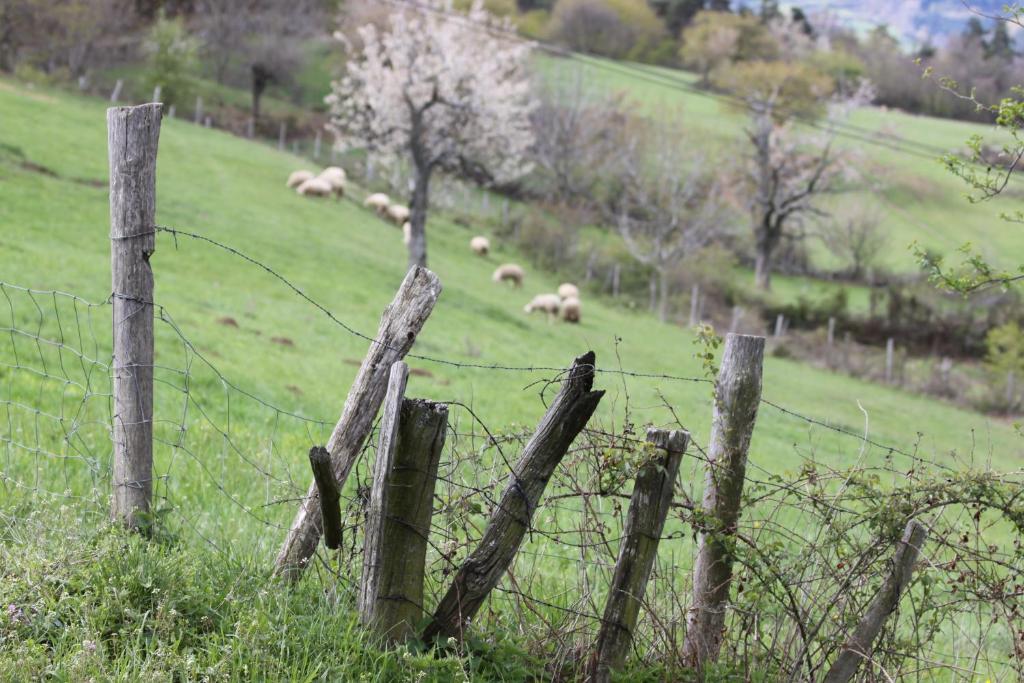 Saint-Félicien La Bastide De Fontaille Bed & Breakfast エクステリア 写真